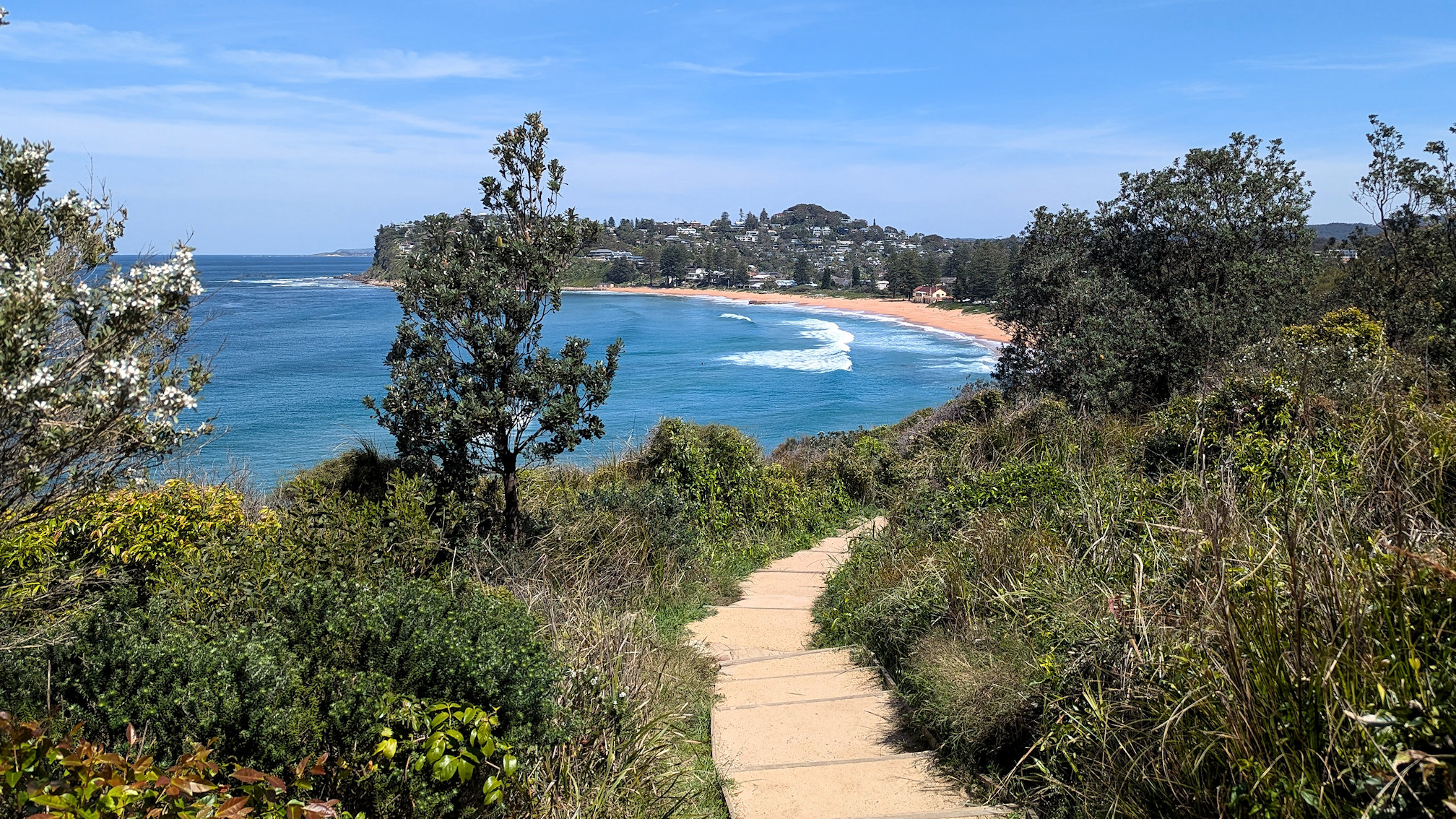bilgola track (2)